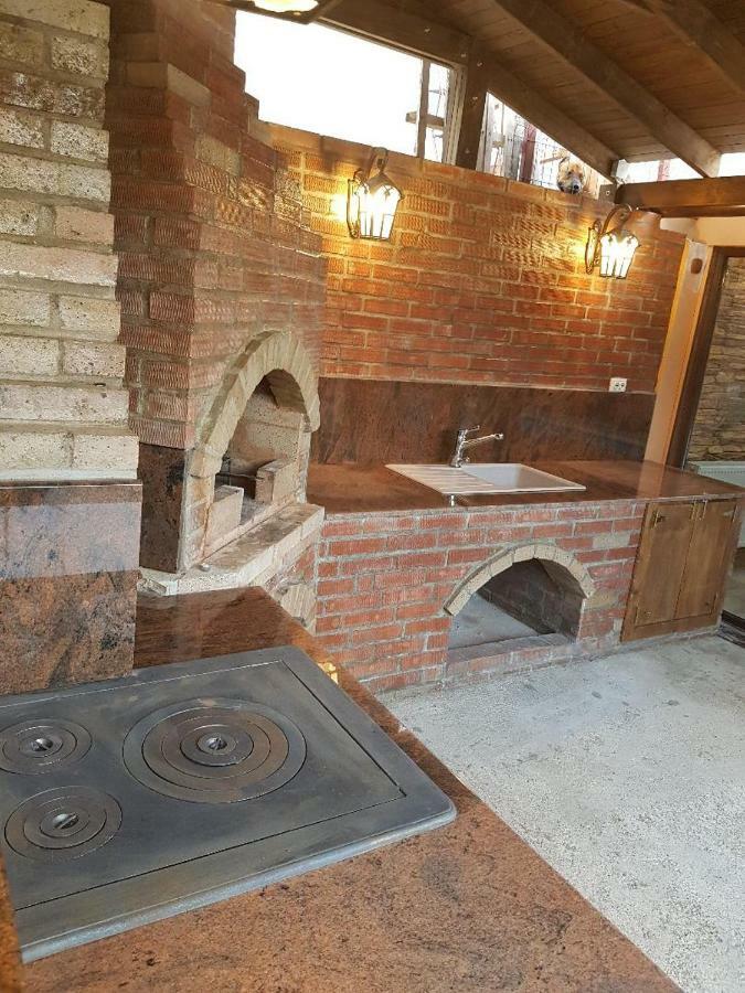 Hotel Casa Piri à Anina Extérieur photo